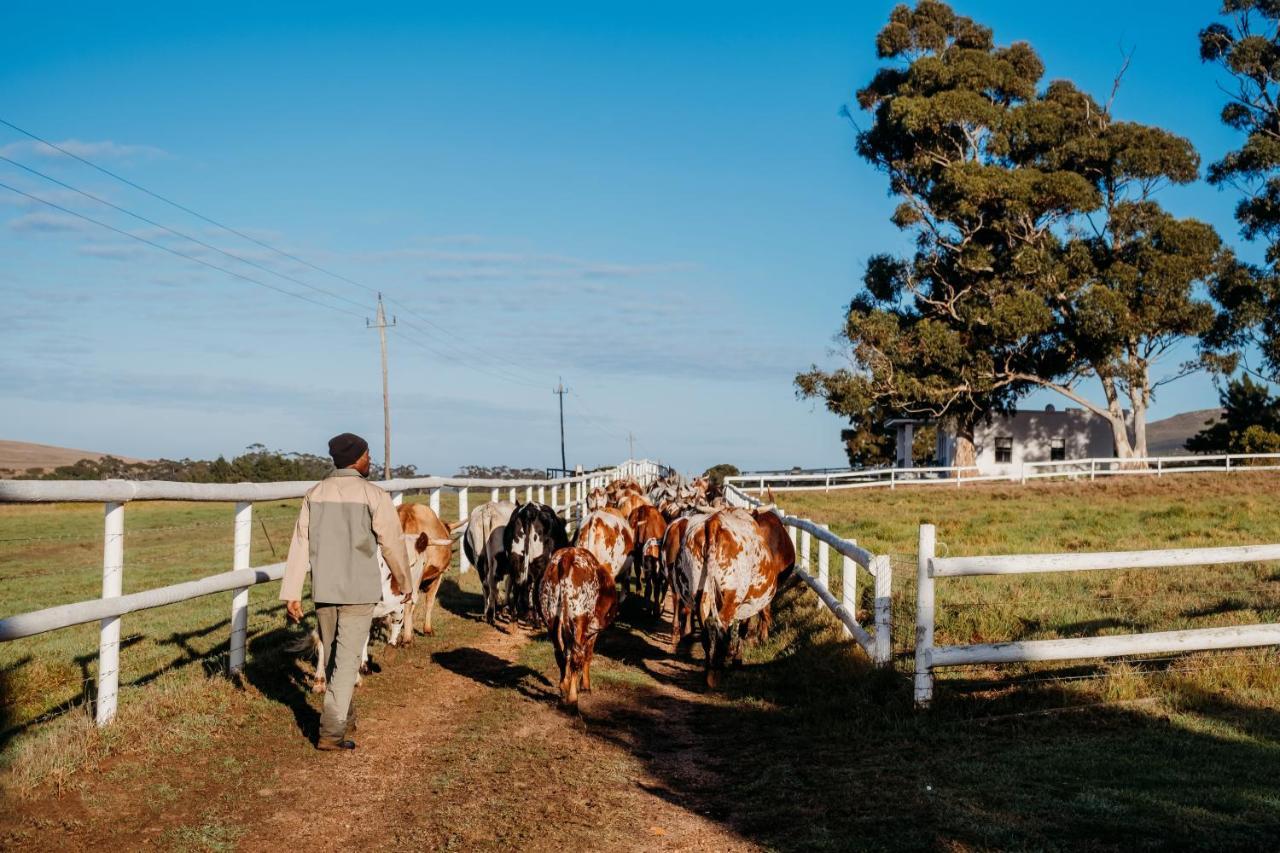 スタンフォード White Water Farmゲストハウス エクステリア 写真
