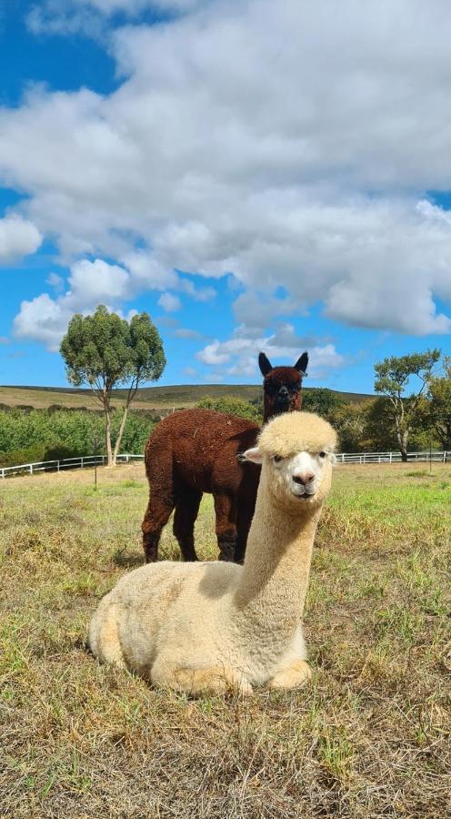 スタンフォード White Water Farmゲストハウス エクステリア 写真